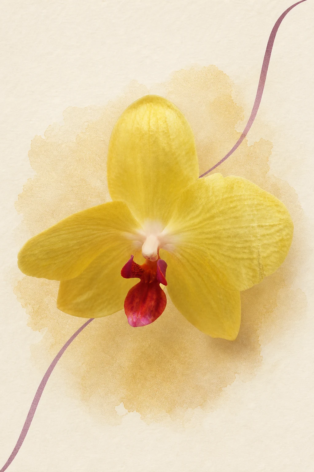 A butter yellow orchid with garnet details named Golden Hour