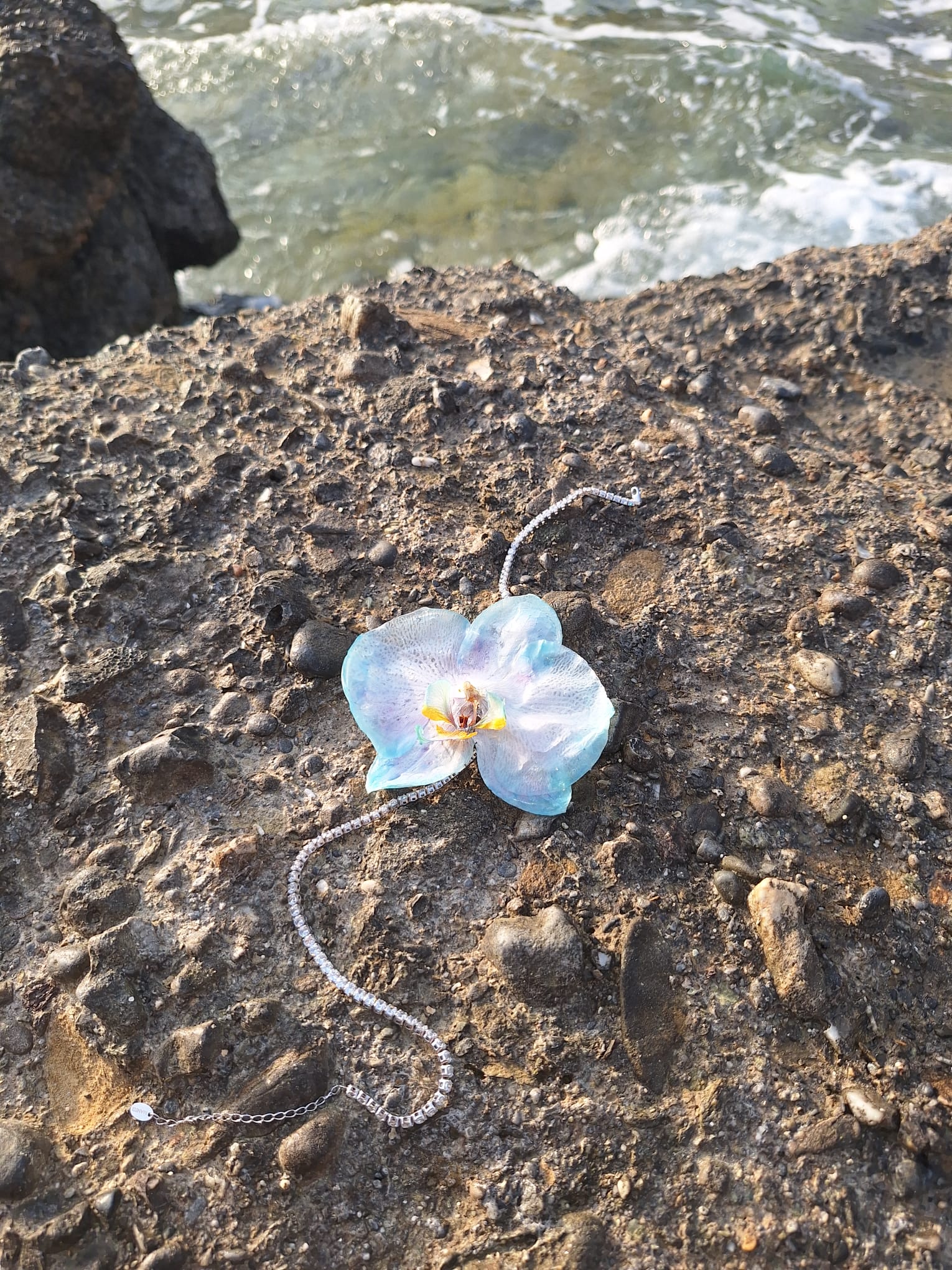 Celeste Vein orchid with a silver tennis necklace beside the sea